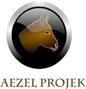 logo Aezele Projek1