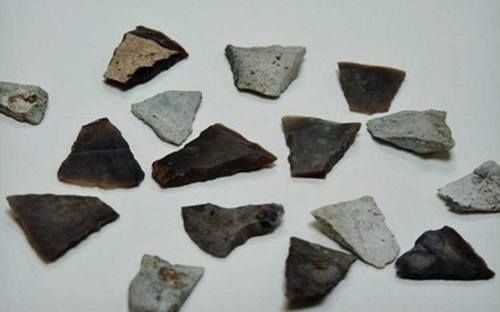Archeologische vondsten en schenkingen aan het museum in Stein